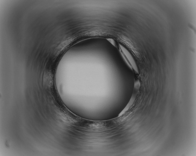 X0000096640164200802191228