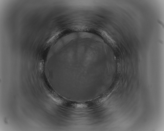 X0000096640165200802191228