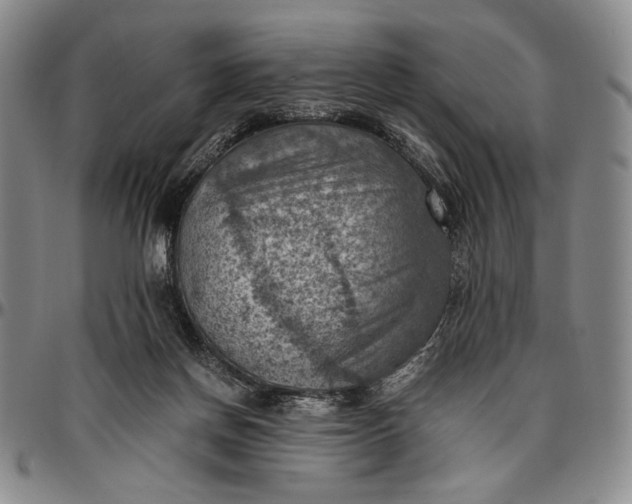 X0000096640166200802191228