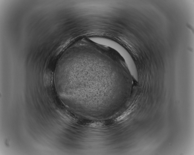 X0000096640168200802191228