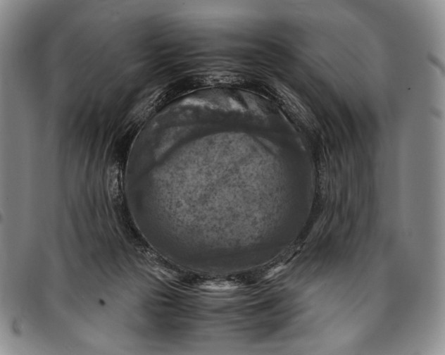 X0000096640169200802191228