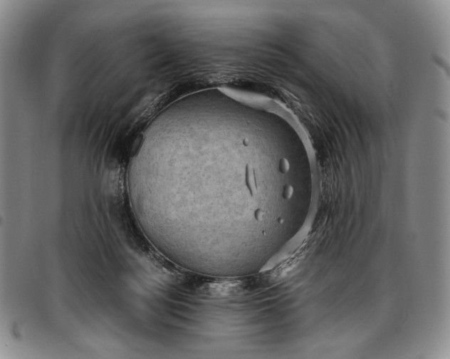 X0000096640172200802191228