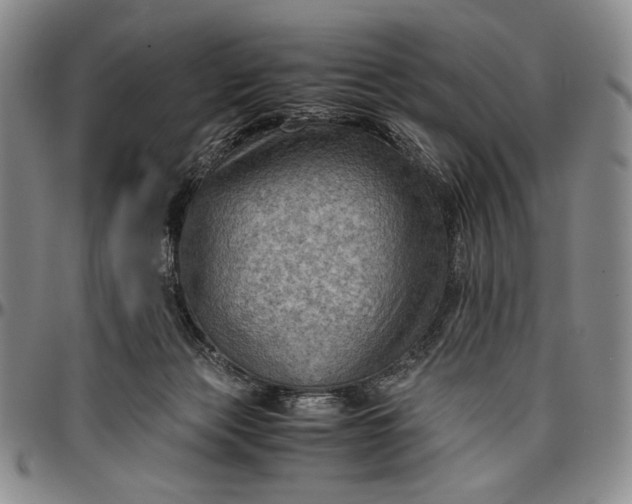 X0000096640173200802191228