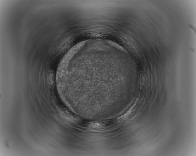 X0000096640174200802191228