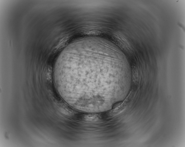 X0000096640175200802191228