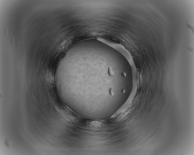 X0000096640176200802191228