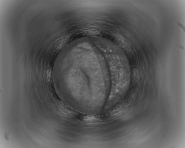 X0000096640177200802191228