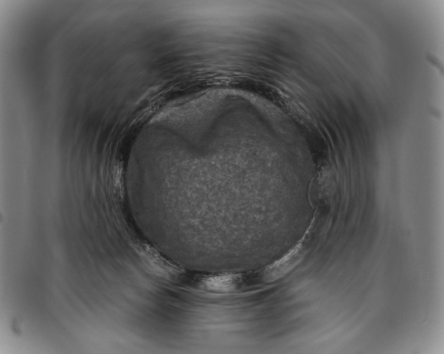 X0000096640178200802191228