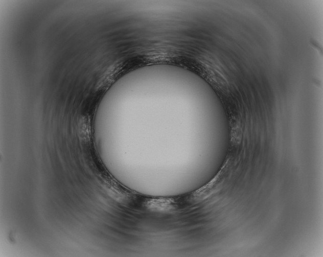 X0000096640179200802191228