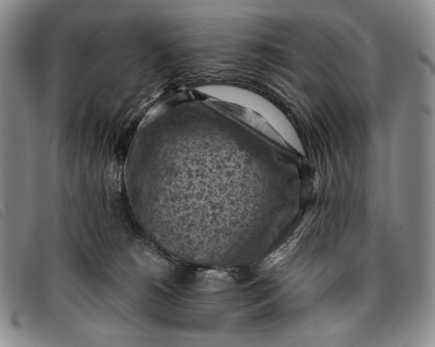 X0000096640180200802191228