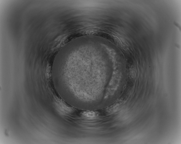 X0000096640181200802191228