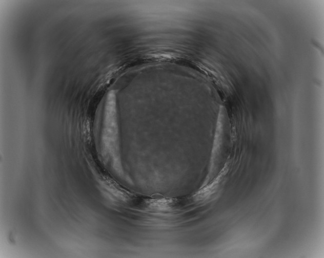 X0000096640182200802191228