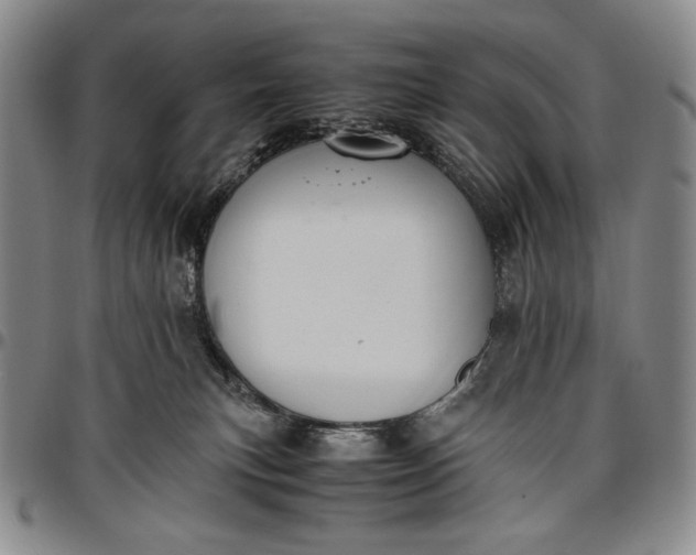 X0000096640183200802191228