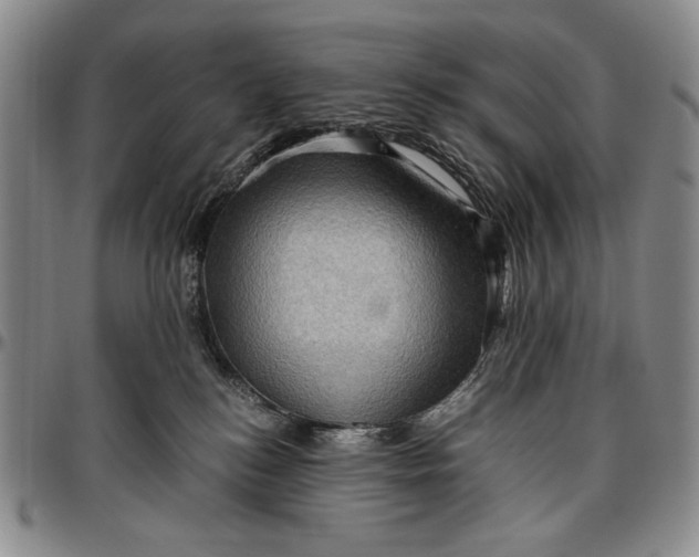 X0000096640184200802191228