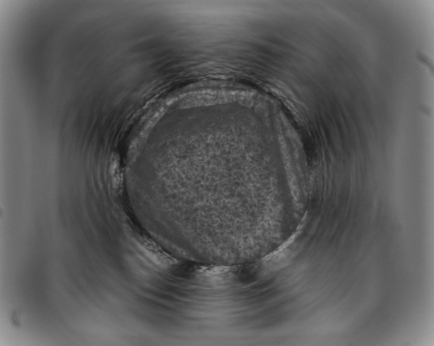 X0000096640186200802191228