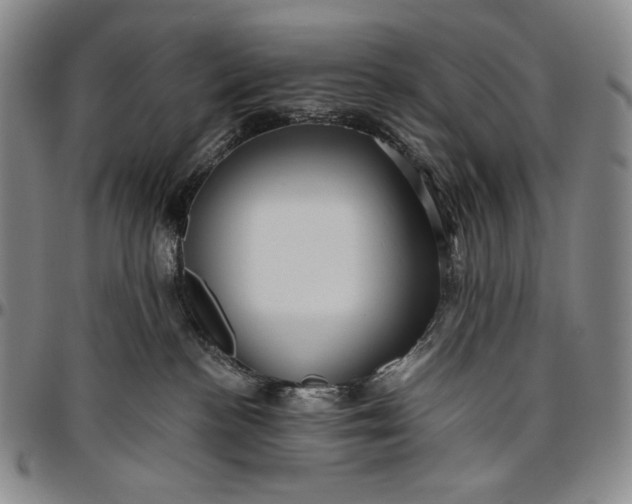 X0000096640188200802191228