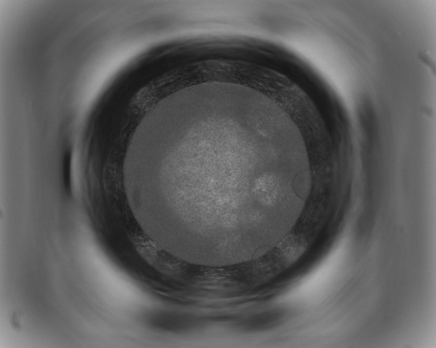 X0000096640189200802191228