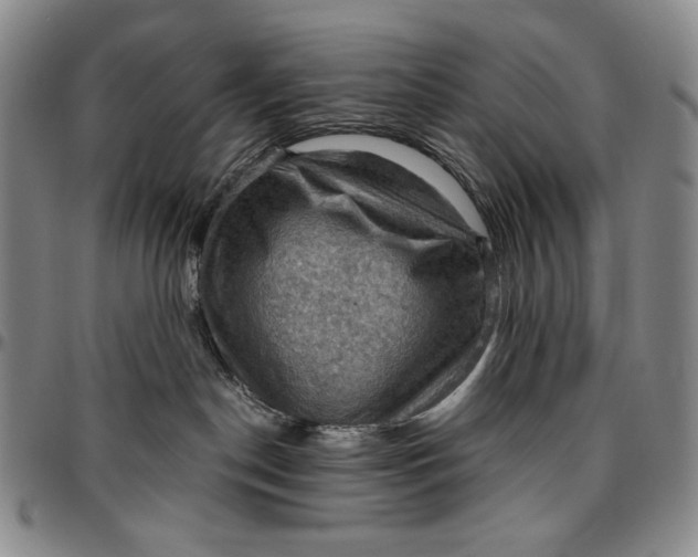 X0000096640190200802191228