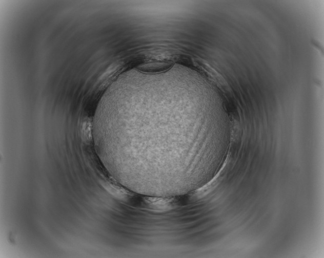 X0000096640191200802191228