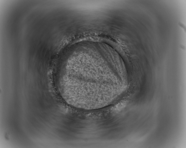 X0000096640192200802191228