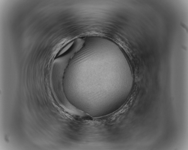 X0000096640193200802191227