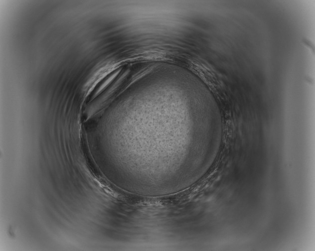 X0000096640194200802191227