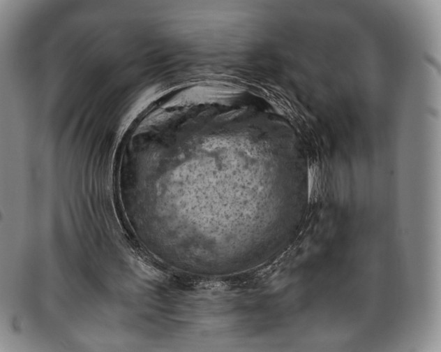 X0000096640195200802191227