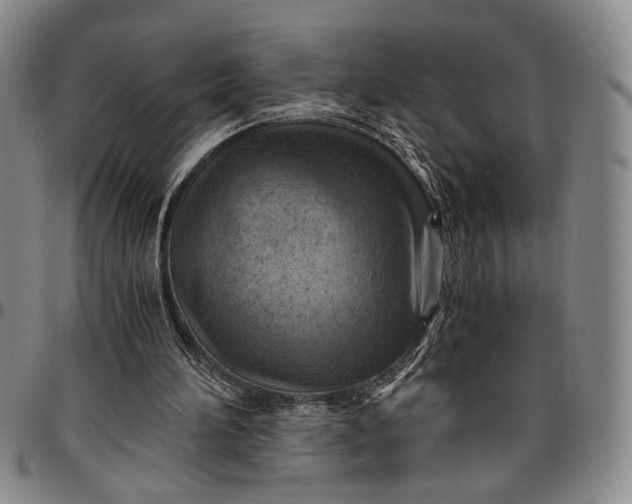 X0000096640196200802191227