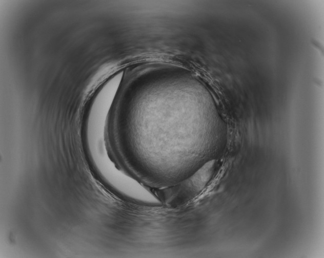 X0000096640197200802191227