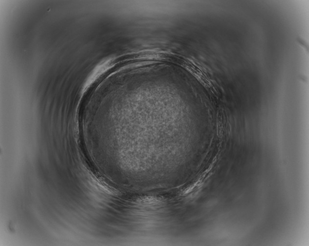 X0000096640198200802191227