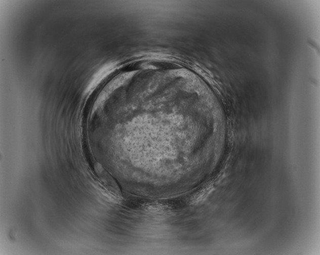 X0000096640199200802191227