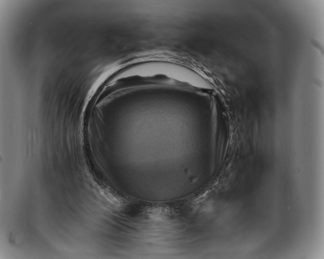 X0000096640200200802191227