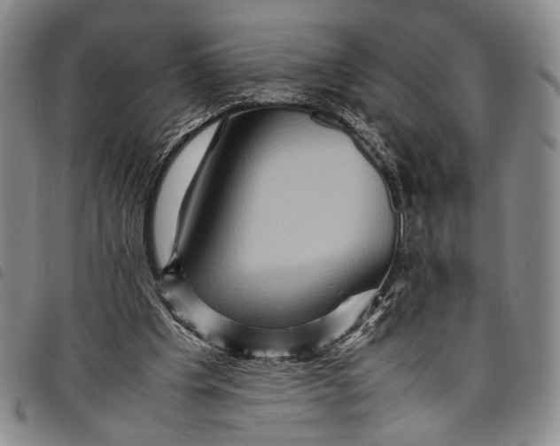 X0000096640201200802191227