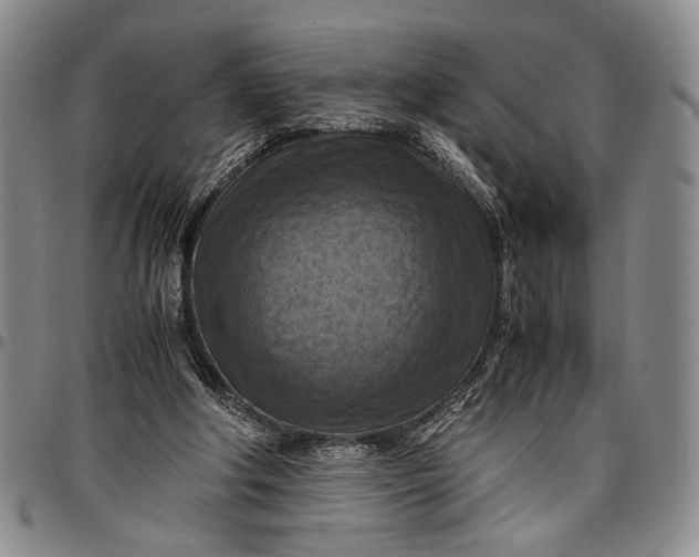 X0000096640202200802191227