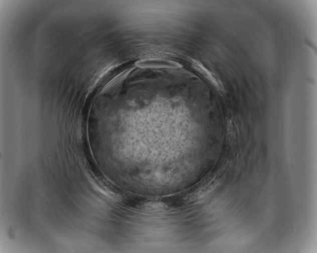 X0000096640203200802191227