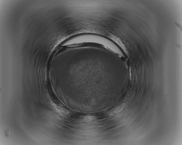 X0000096640204200802191227