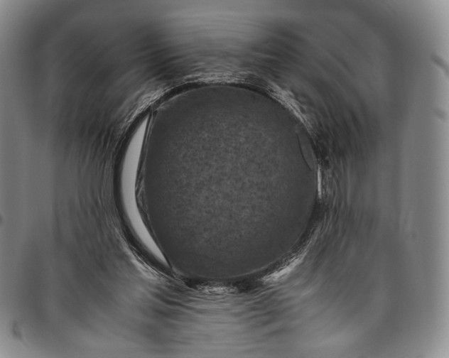 X0000096640205200802191227