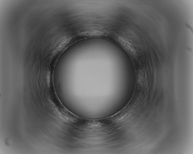 X0000096640206200802191227