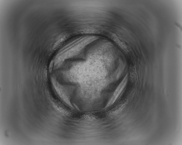 X0000096640207200802191227