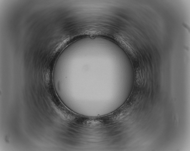 X0000096640208200802191227