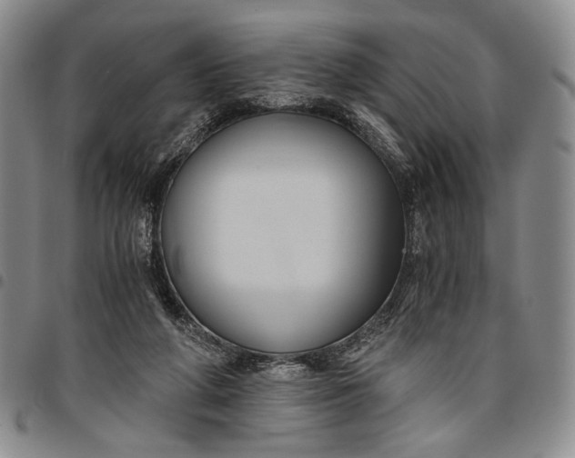 X0000096640210200802191227