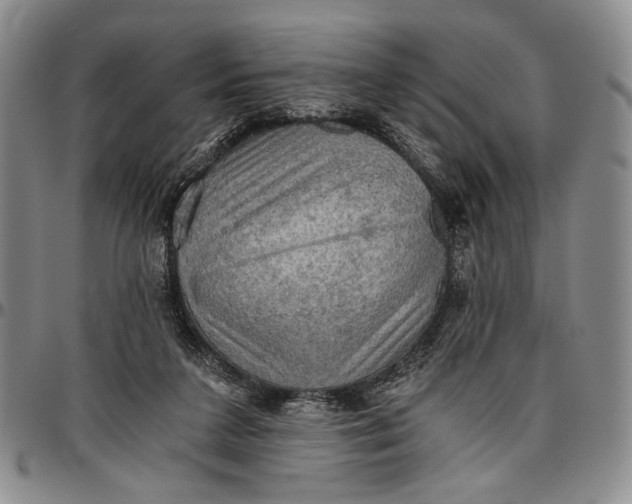 X0000096640211200802191227