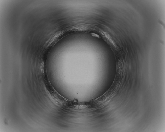 X0000096640212200802191227