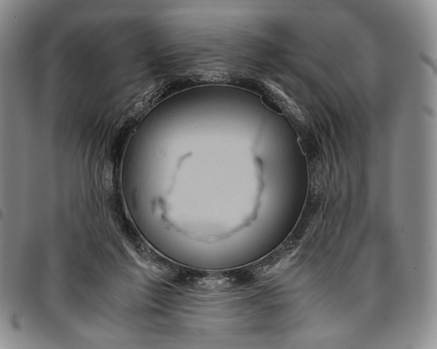 X0000096640213200802191227