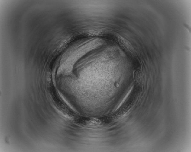 X0000096640215200802191227