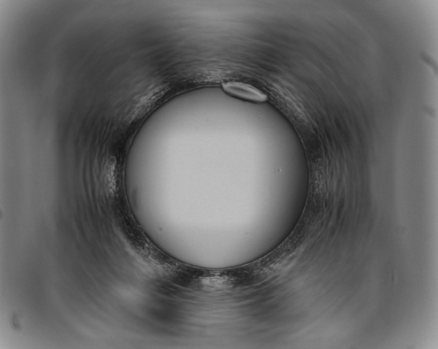 X0000096640216200802191227