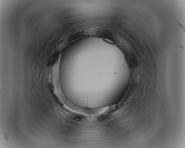 X0000096640217200802191227