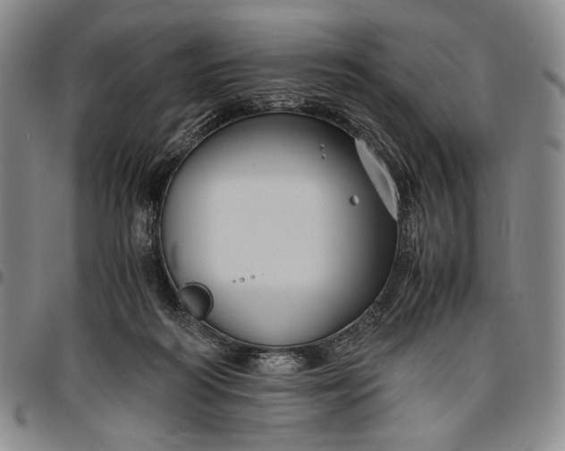 X0000096640218200802191227