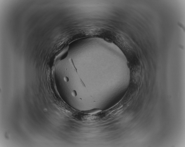 X0000096640219200802191227