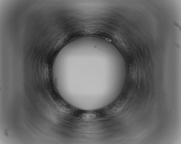 X0000096640220200802191227